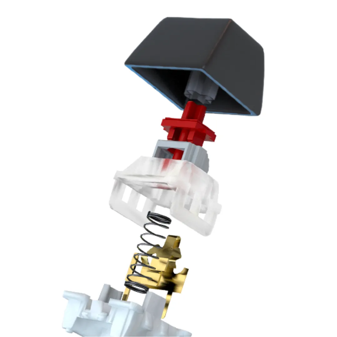 TECLADO BALLISTA81T PKS-S080DS-S