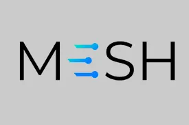 Mesh
