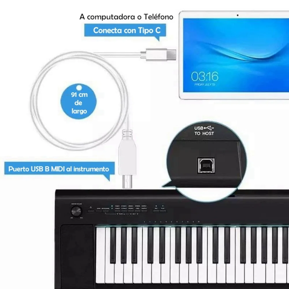 USB B MIDI a Tipo C
