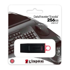 Memoria USB Kingston 256GB DataTraveler Exodia 3.2 Negro