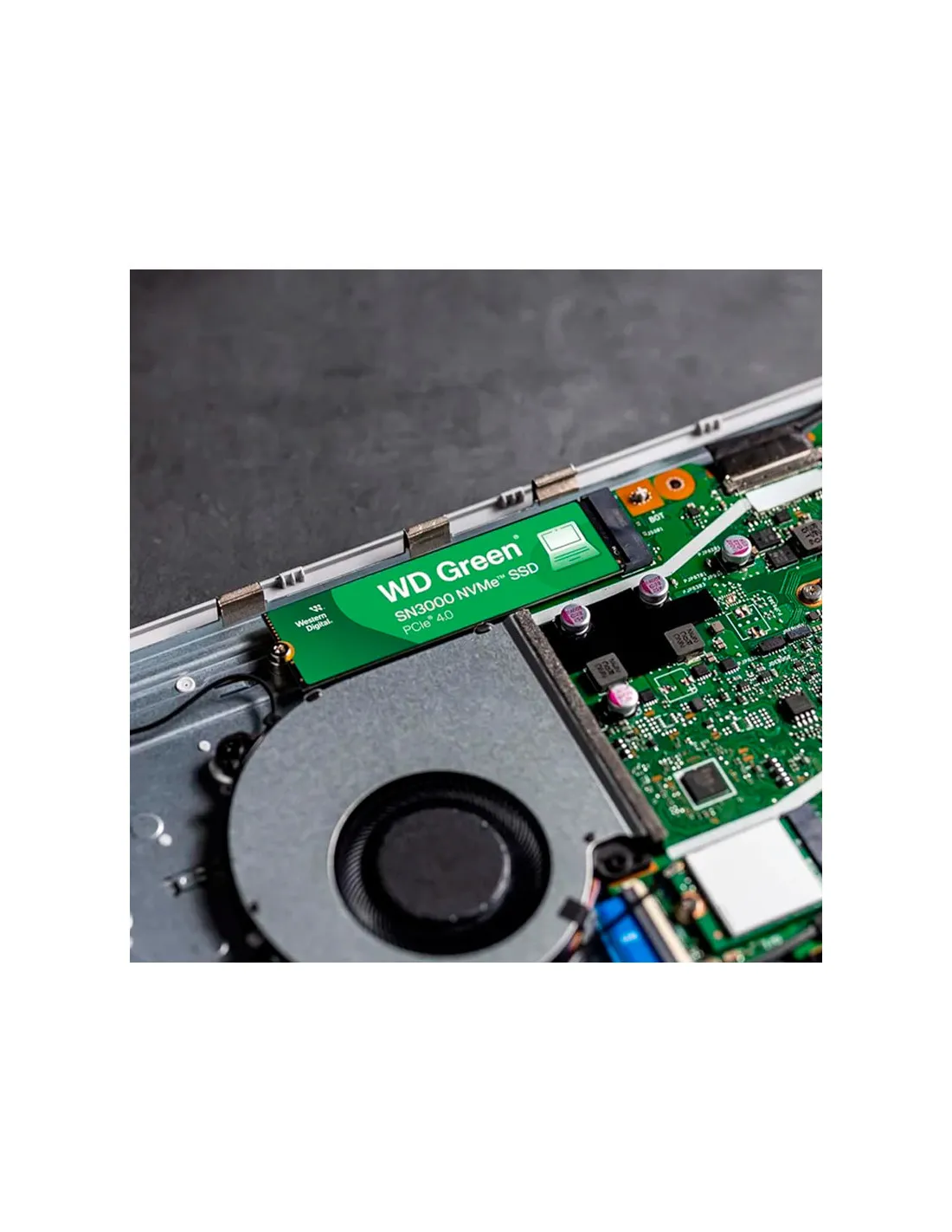 Western Digital 1TB WD Green SN3000 NVMe SSD Interno – Unidad de Estado sólido – Gen4 PCIe, M.2 2280, hasta 5.000 MB/s – WDS200T4G0E